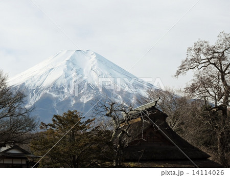 忍野村冠雪の富士 14114026