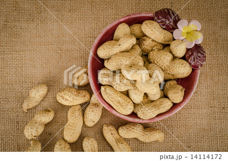 Peanuts 14114172