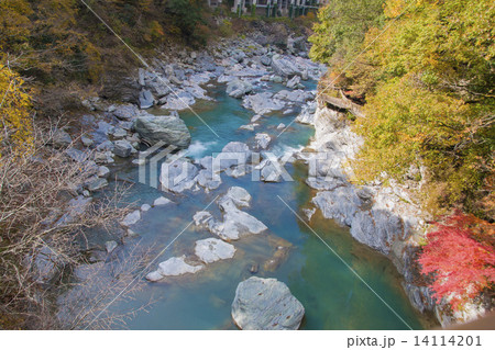 祖谷川と紅葉 14114201