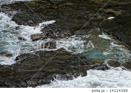 seal relaxing on rocks in hawaii kauai 14114389
