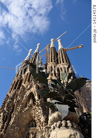 生誕のファサードと植物彫刻 生誕のファサードと植物彫刻 14114578