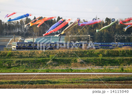 常磐線と「鯉のぼり」 14115040