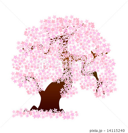 桜 桜の木 花のイラスト素材