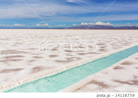 Salinas Salinas 14116759