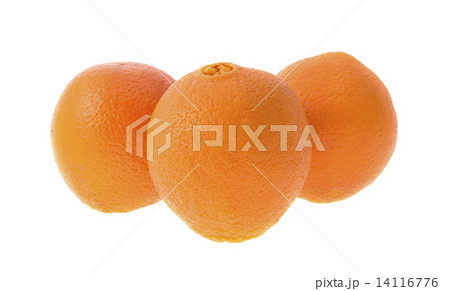 Oranges Isolated on White Background Oranges Isolated on White Background 14116776