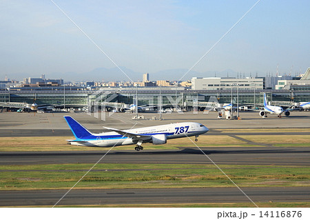 エアボーン 14116876