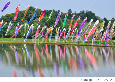 鯉のぼり 14117512