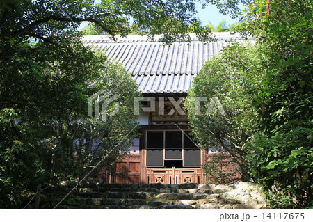 浄住寺 14117675