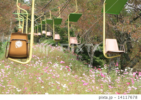 妙見の森リフト 妙見の森リフト 14117678