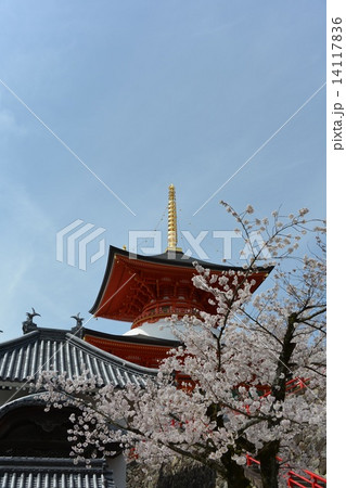 宝塚市 宝塚市 14117836