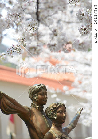 宝塚市 宝塚市 14117838