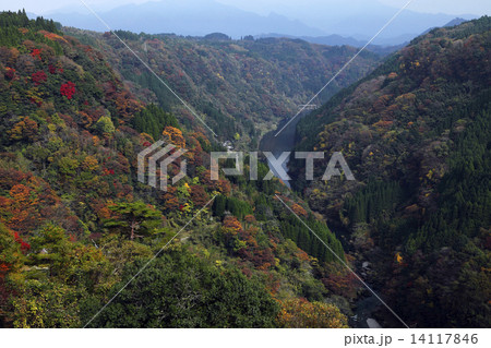 11月秋 紅葉の蘇陽峡の写真素材