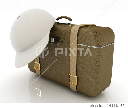 Brown traveler's suitcase and peaked cap Brown traveler's suitcase and peaked cap 14118185