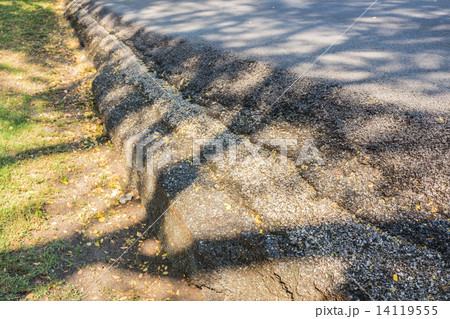 road within the park. road within the park. 14119555