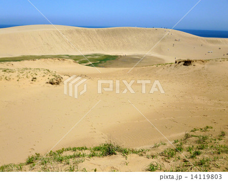 鳥取砂丘 14119803