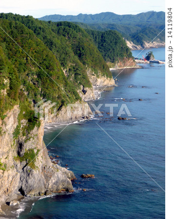 鵜の巣断崖 14119804