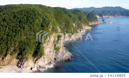 鵜の巣断崖 14119805