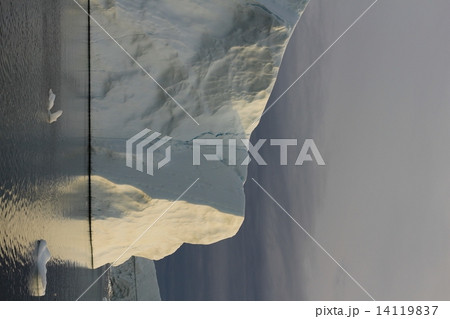 グリーンランド氷河白夜クルーズ（Glaciers in Greenland - the midnight sun tour) 14119837