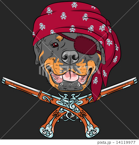vector Dog Rottweiler Pirate with pistols vector Dog Rottweiler Pirate with pistols 14119977