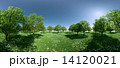 森　パノラマ 14120021