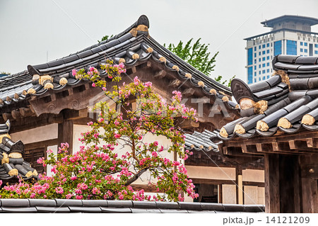 Traditional old korean building with tree and flowers Traditional old korean building with tree and flowers 14121209