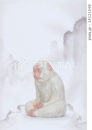 White Monkey6 14121349