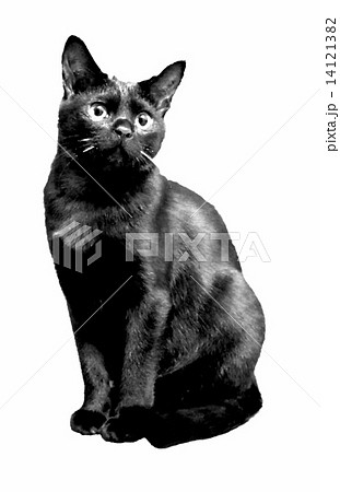座っている黒猫のイラスト素材