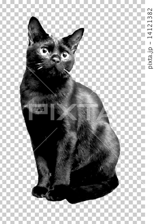 座っている黒猫のイラスト素材