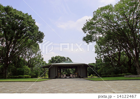 千鳥ケ淵戦没者墓苑 14122467