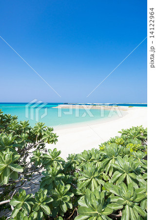 沖縄のビーチ・潮崎ビーチ 沖縄のビーチ・潮崎ビーチ 14122964