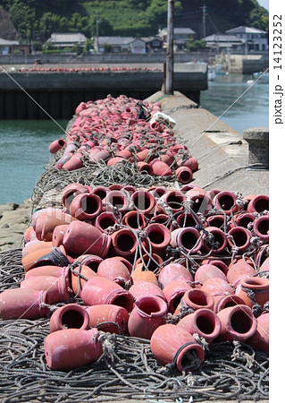 タコツボ 14123252