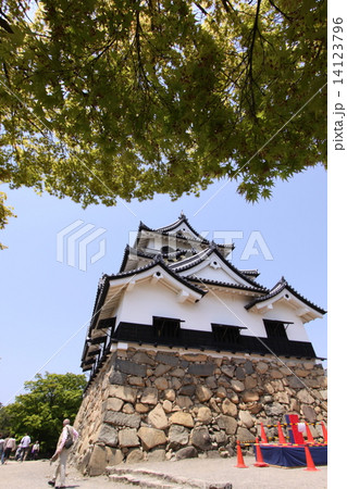 彦根城 彦根城 14123796