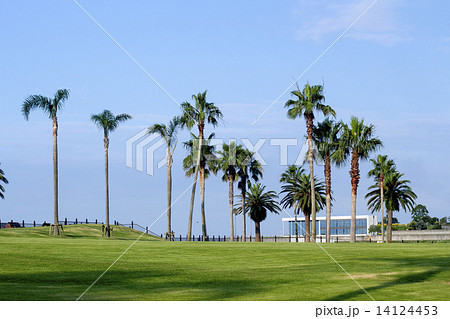 田ノ浦海浜公園 14124453