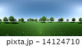 森　パノラマ 14124710