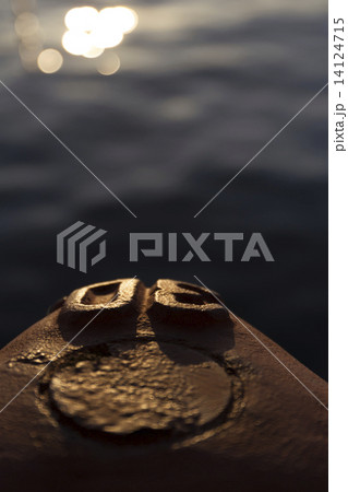 朝日に輝く港 14124715