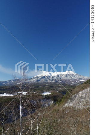 冬の御嶽山 厳寒の白樺 九蔵峠より 冬の御嶽山 厳寒の白樺 九蔵峠より 14125065