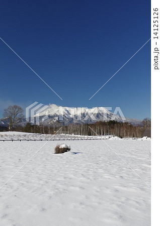 冬の御嶽山　開田村木曽馬の里より 14125126