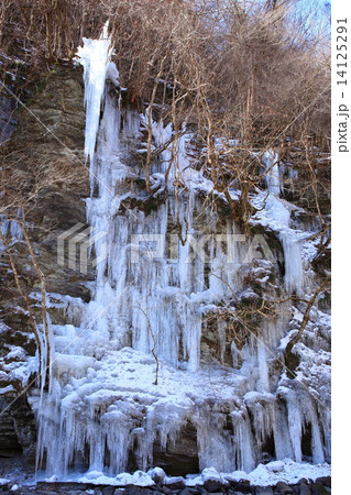 埼玉県秩父市にある三十槌の氷柱 埼玉県秩父市にある三十槌の氷柱 14125291