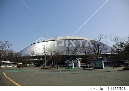 快晴の西武ドーム 快晴の西武ドーム 14125598