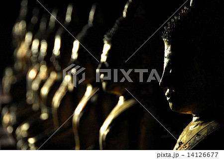Buddha statue in dark light Buddha statue in dark light 14126677