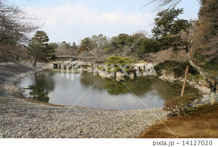 仙洞御所　南池 14127020