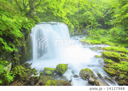 新緑の銚子大滝 14127988