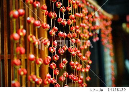 身代り申 14128129