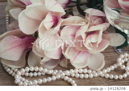 magnolia flowers with pearls magnolia flowers with pearls 14128206