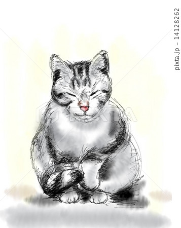 ネコのイラスト ネコのイラスト 14128262