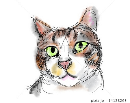 猫のイラスト 猫のイラスト 14128263