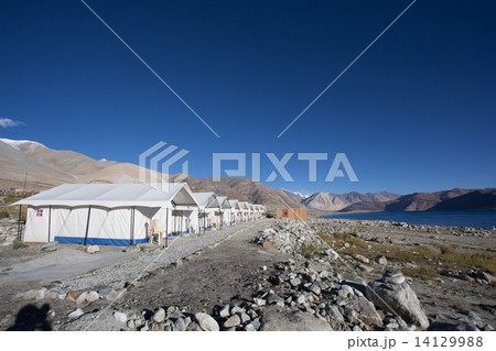 Tented tourist camp on lake pangong, Ladakh, India 14129988