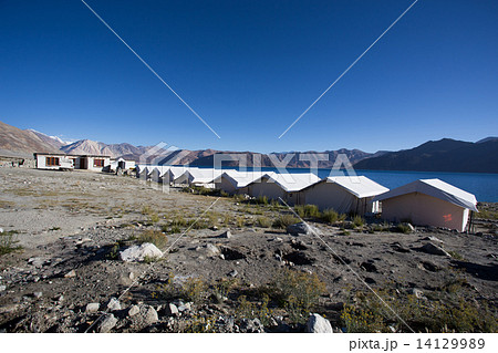 Tented tourist camp on lake pangong, Ladakh, India 14129989