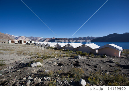 Tented tourist camp on lake pangong, Ladakh, India 14129990