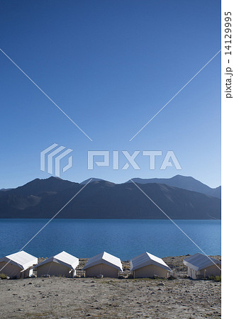 Tented tourist camp on lake pangong, Ladakh, India 14129995
